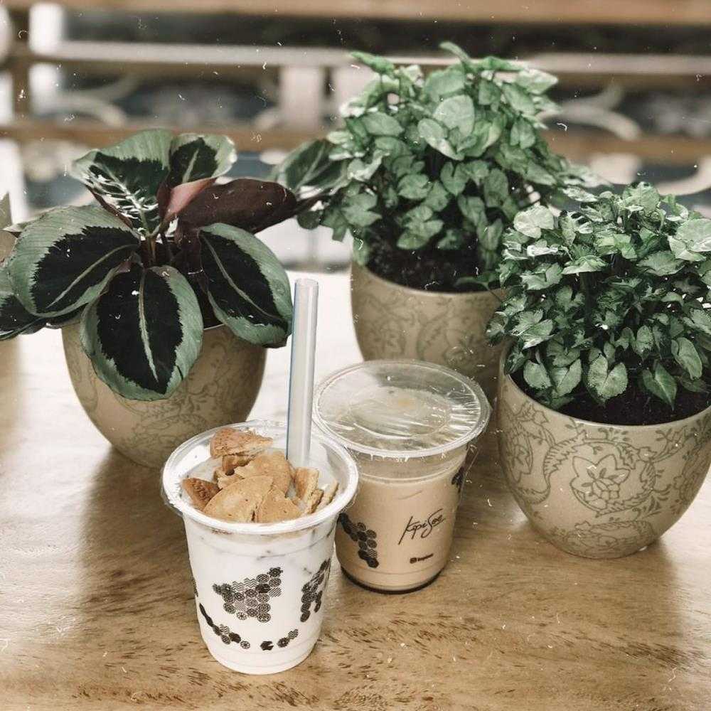 Kuliner KOPI SOE  Tuanku Tambusai