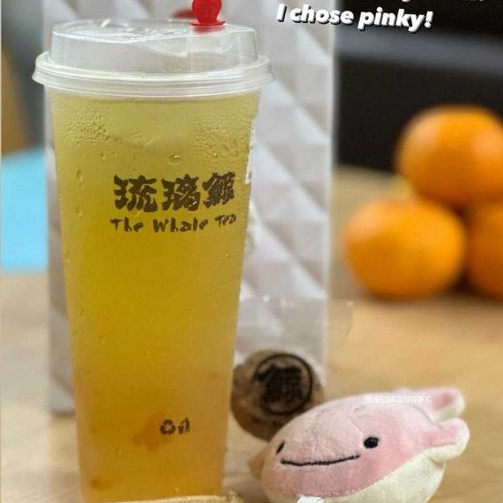 Kuliner The Whale Tea SG - Rivervale Mall